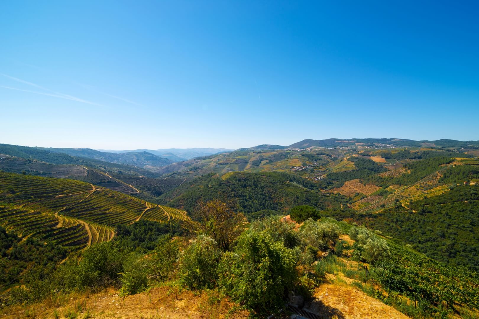 DOURO VALLEY WINE-GROWING AREA PORTUGAL REAL ESTATE | Douro Superior Porto, Cima Corgo, Baixo Corgo